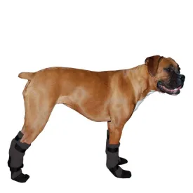 Boxer Dog Booties