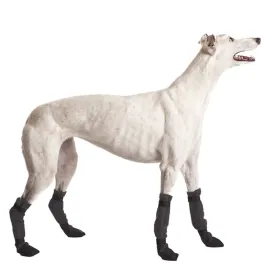 Greyhound Dog Booties