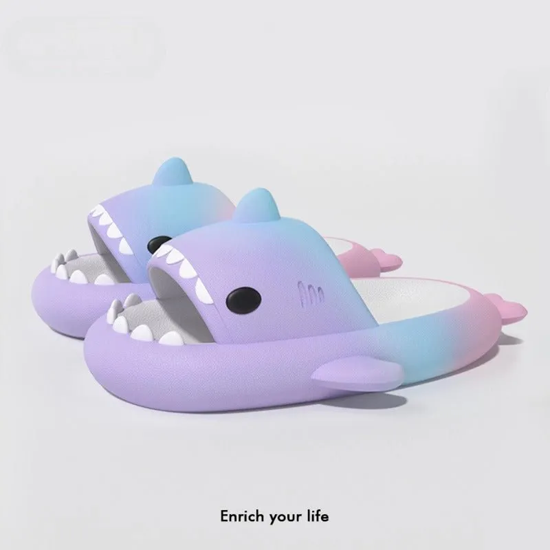 Shark Slippers